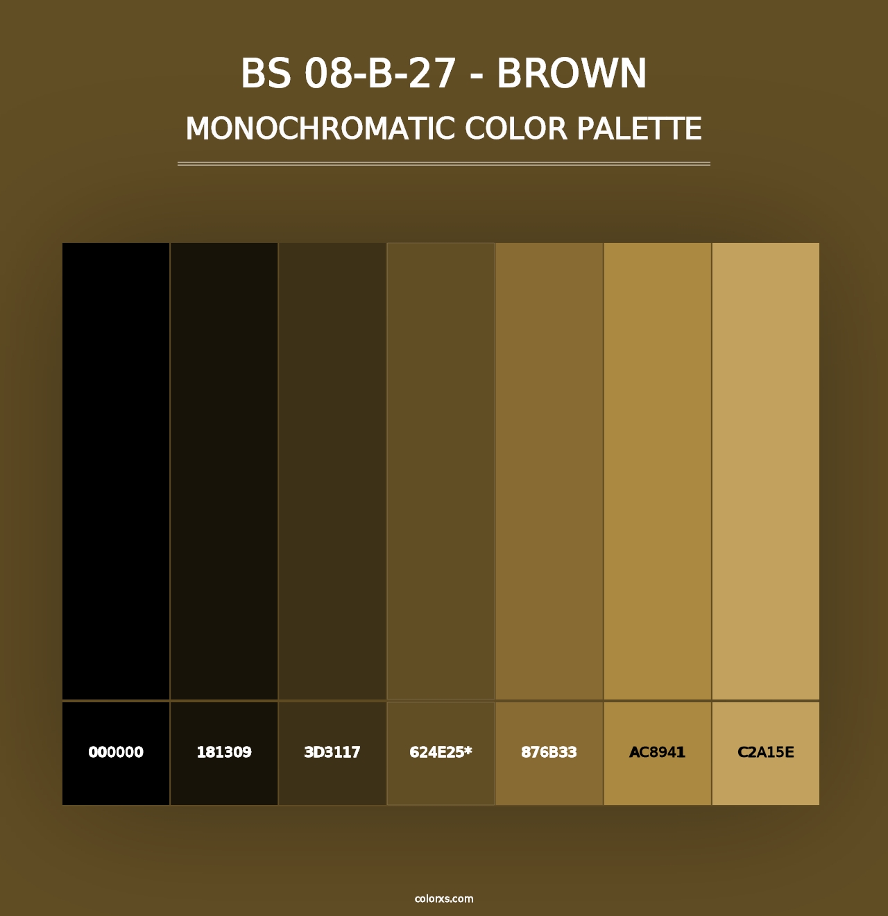 BS 08-B-27 - Brown - Monochromatic Color Palette