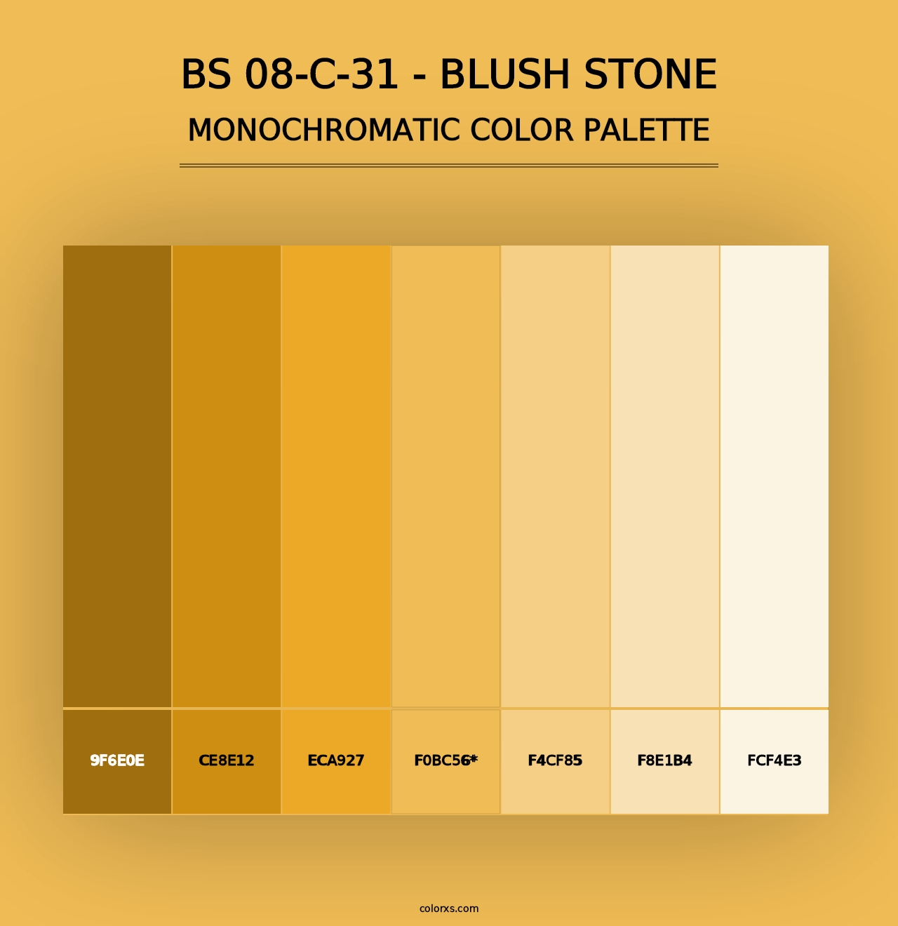 BS 08-C-31 - Blush Stone - Monochromatic Color Palette