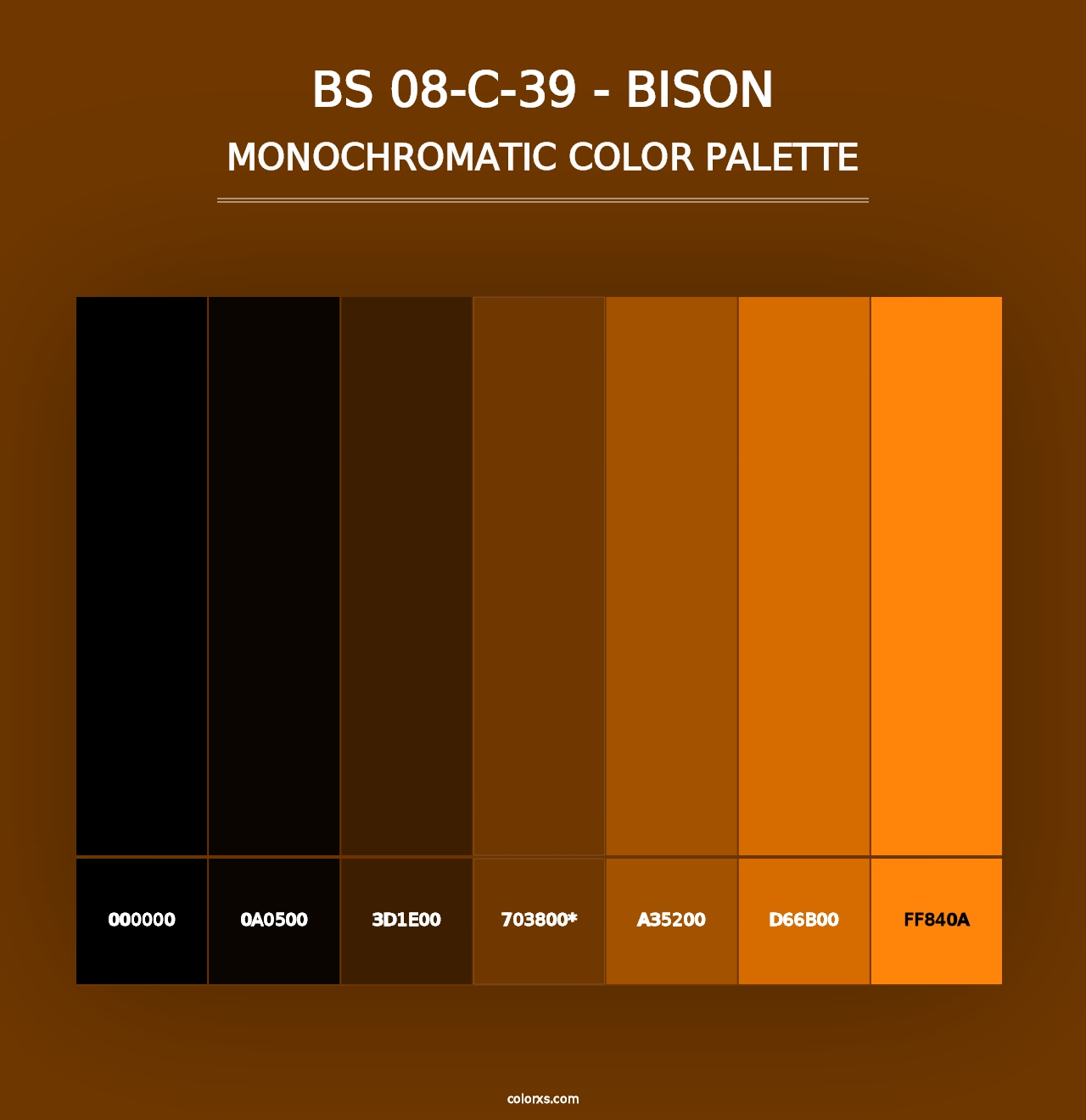 BS 08-C-39 - Bison - Monochromatic Color Palette