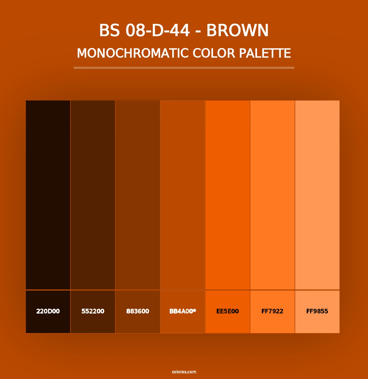 BS 08-D-44 - Brown - Monochromatic Color Palette