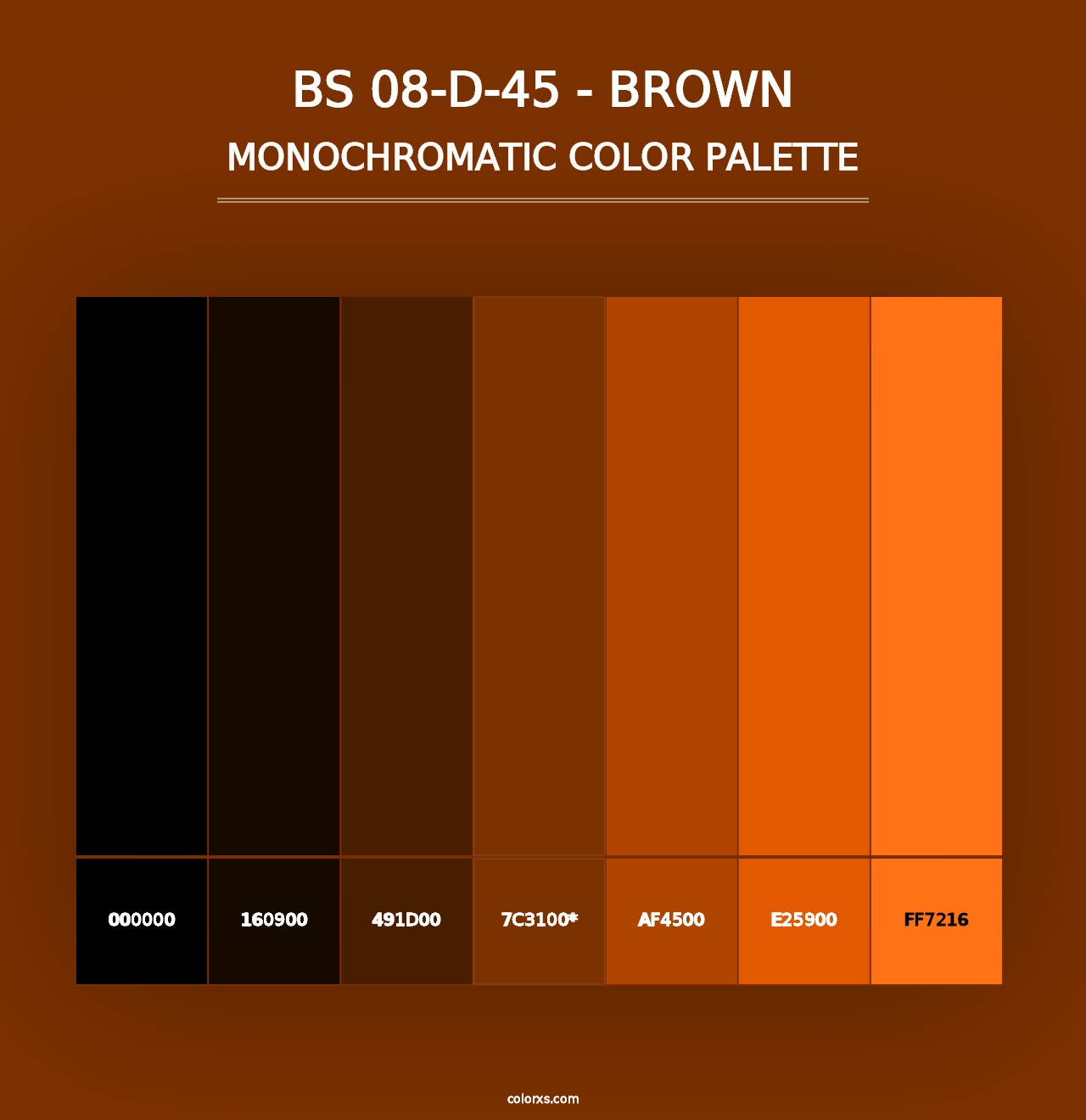 BS 08-D-45 - Brown - Monochromatic Color Palette