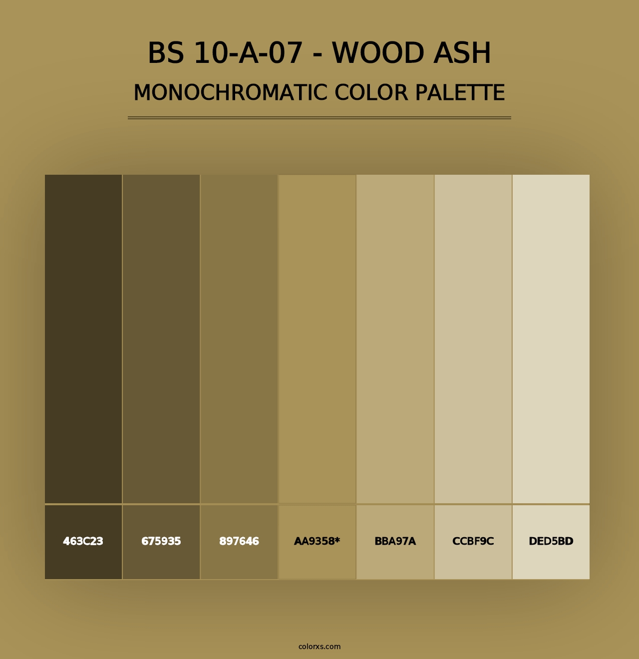 BS 10-A-07 - Wood Ash - Monochromatic Color Palette