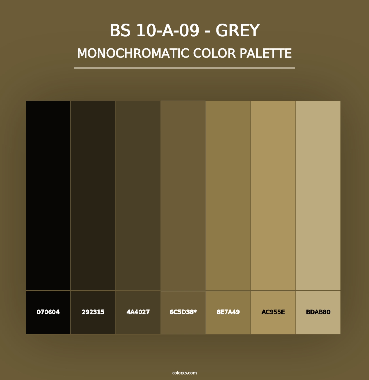 BS 10-A-09 - Grey - Monochromatic Color Palette