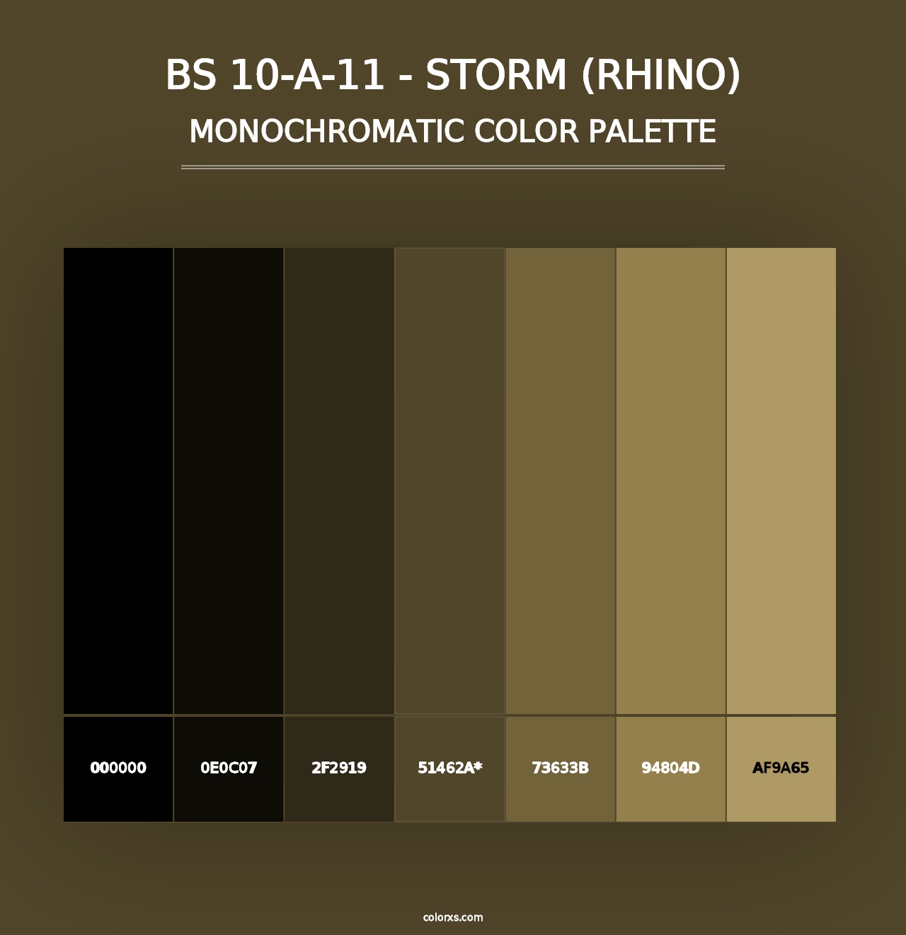 BS 10-A-11 - Storm (Rhino) - Monochromatic Color Palette