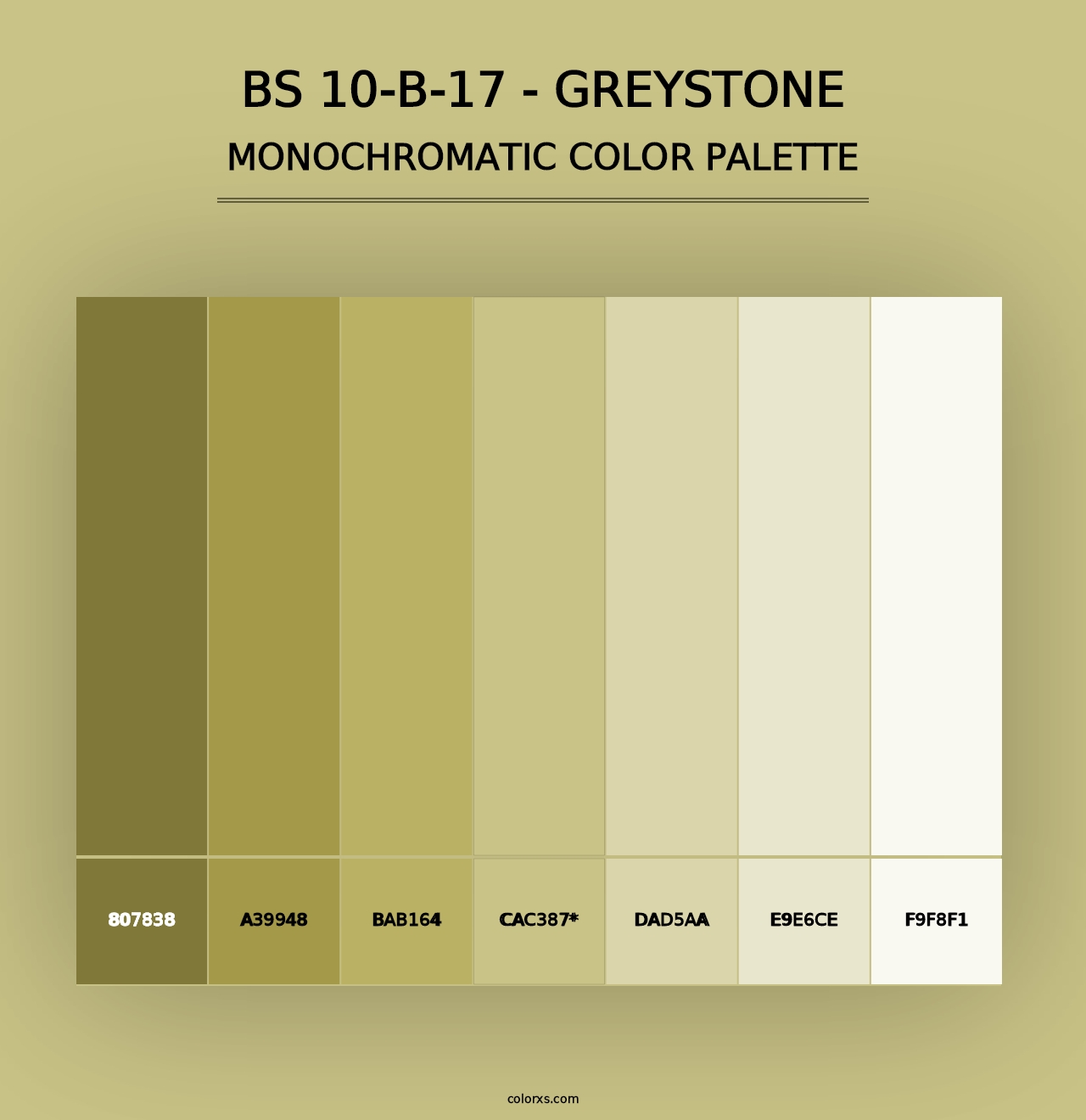 BS 10-B-17 - Greystone - Monochromatic Color Palette