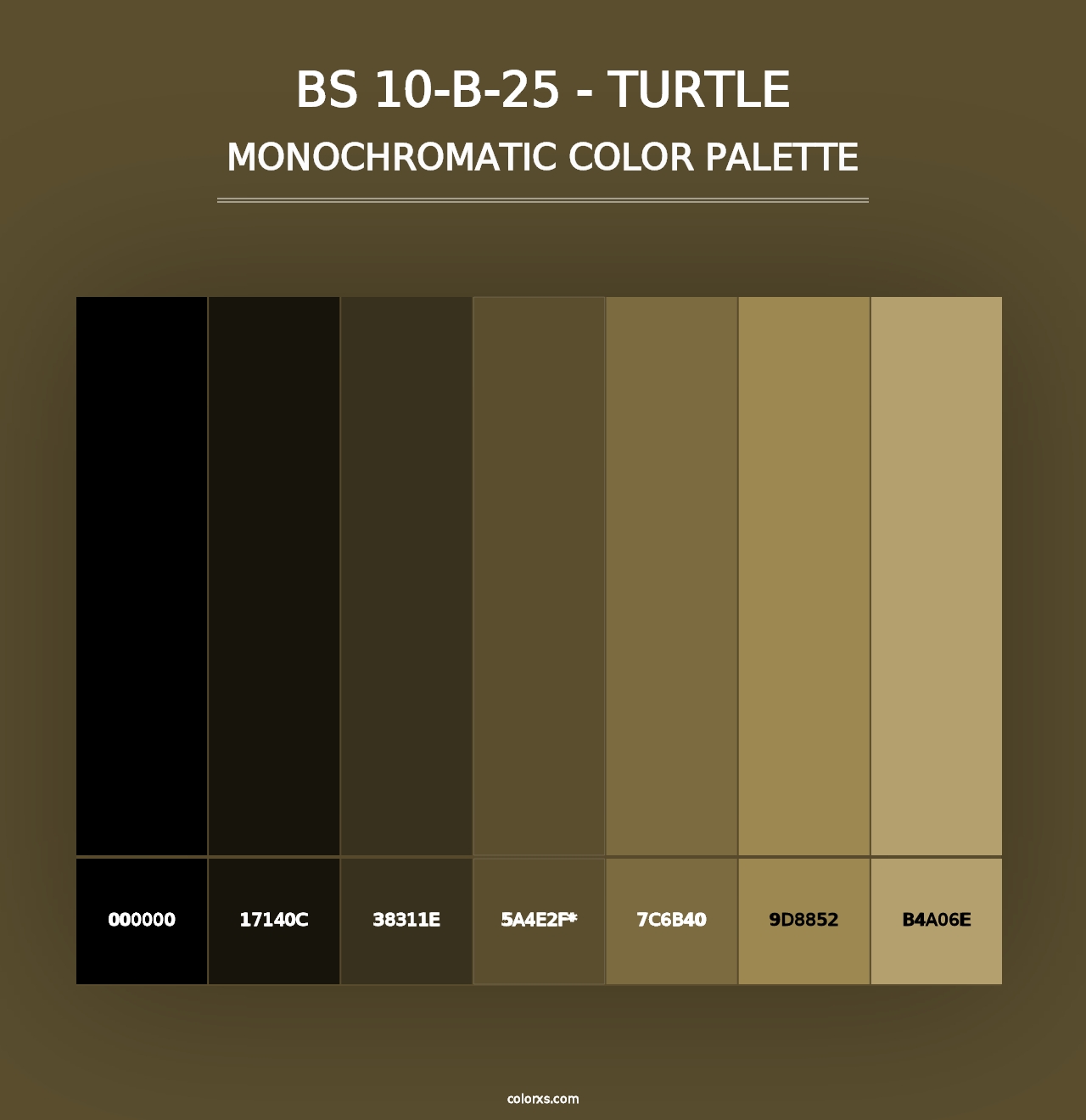 BS 10-B-25 - Turtle - Monochromatic Color Palette