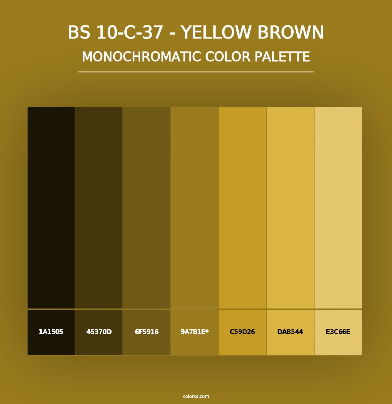 BS 10-C-37 - Yellow Brown - Monochromatic Color Palette