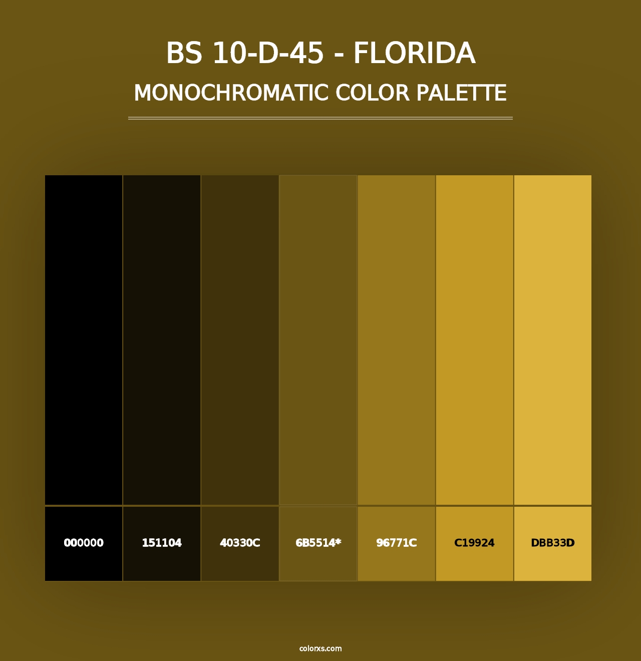 BS 10-D-45 - Florida - Monochromatic Color Palette