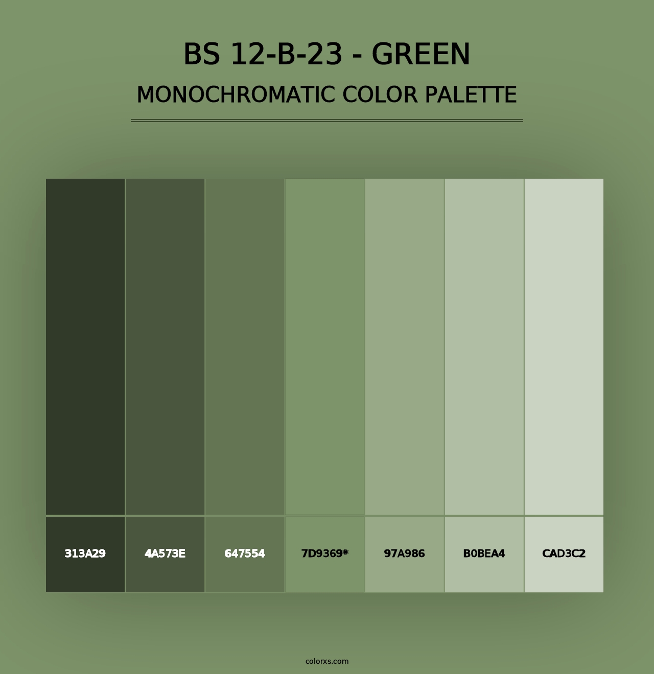 BS 12-B-23 - Green - Monochromatic Color Palette