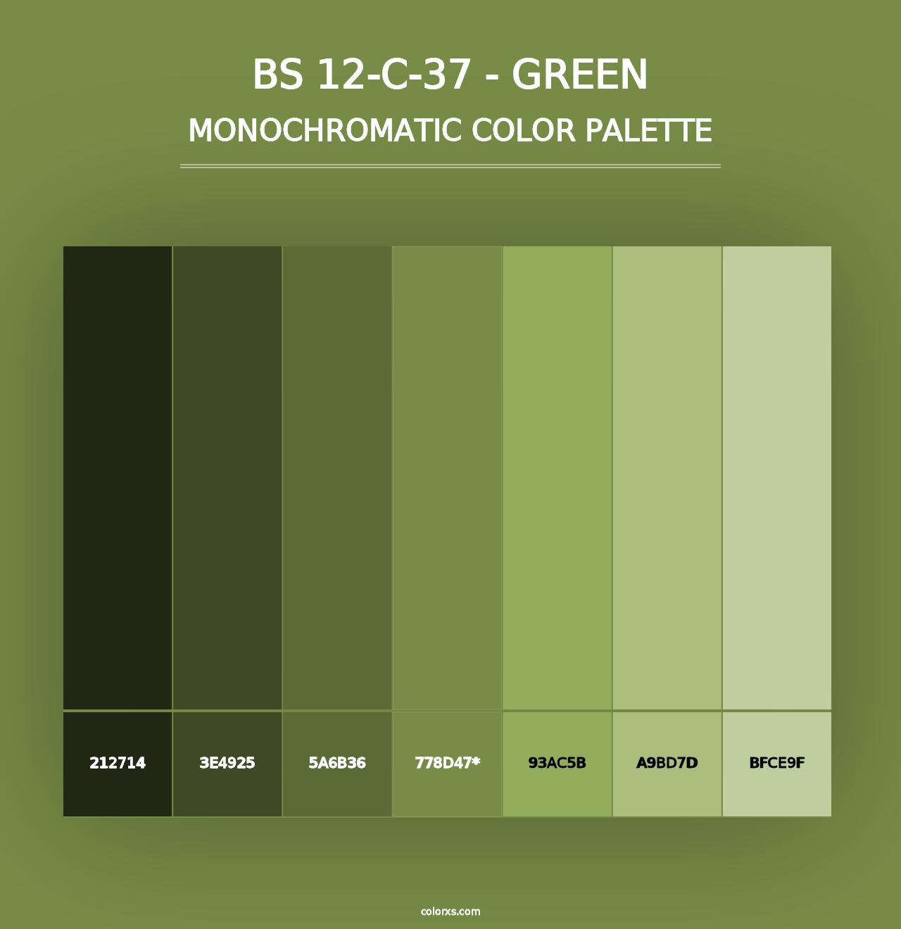 BS 12-C-37 - Green - Monochromatic Color Palette