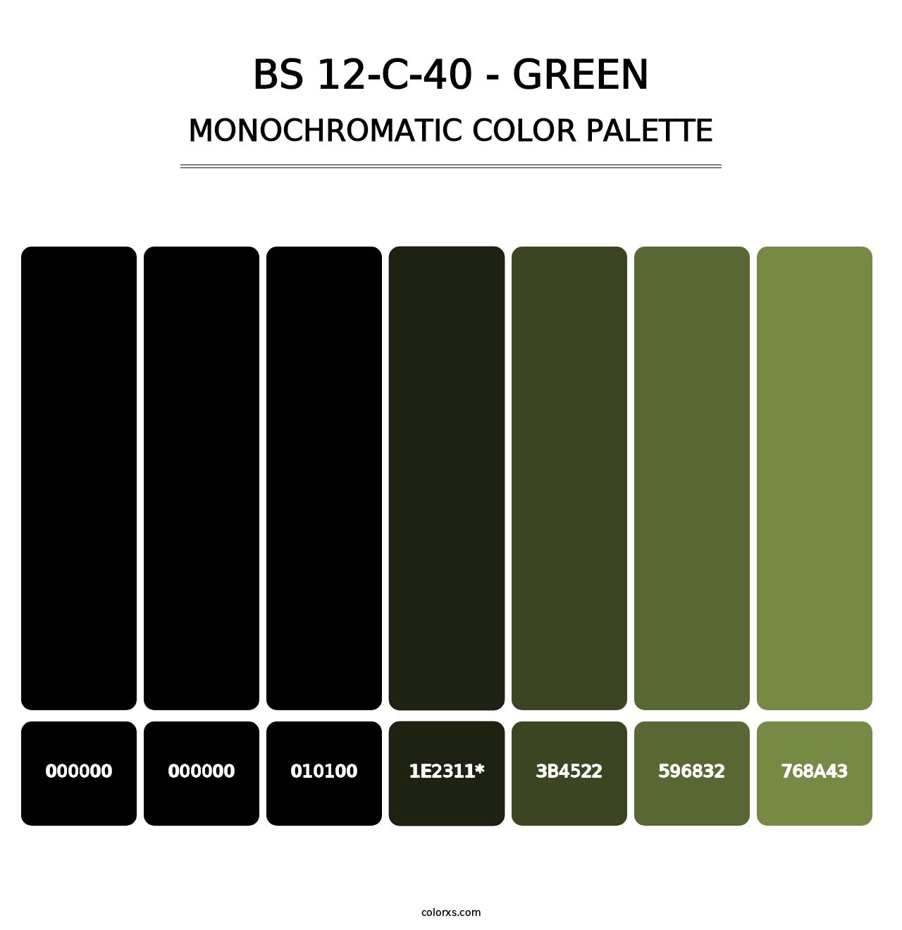 BS 12-C-40 - Green - Monochromatic Color Palette