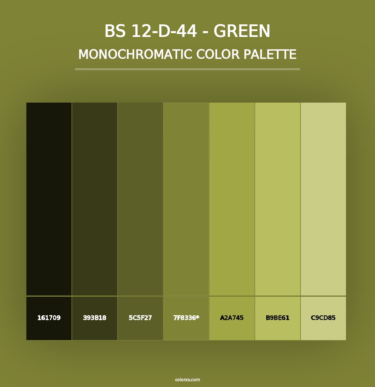 BS 12-D-44 - Green - Monochromatic Color Palette