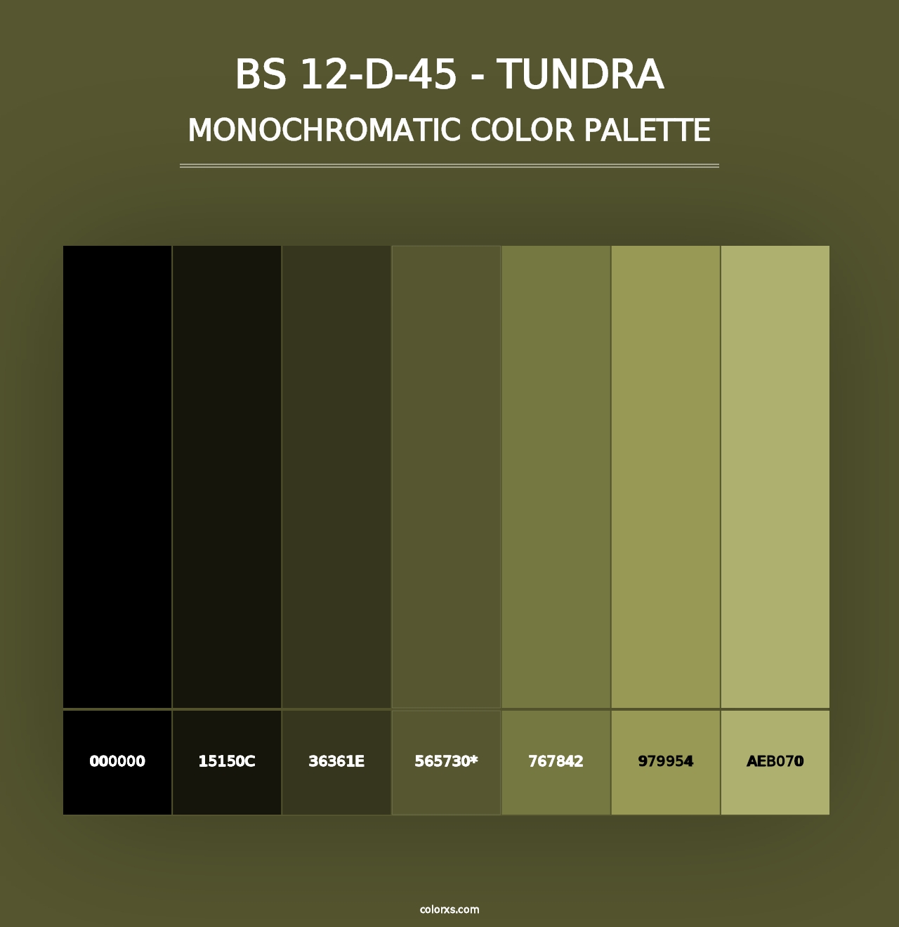 BS 12-D-45 - Tundra - Monochromatic Color Palette