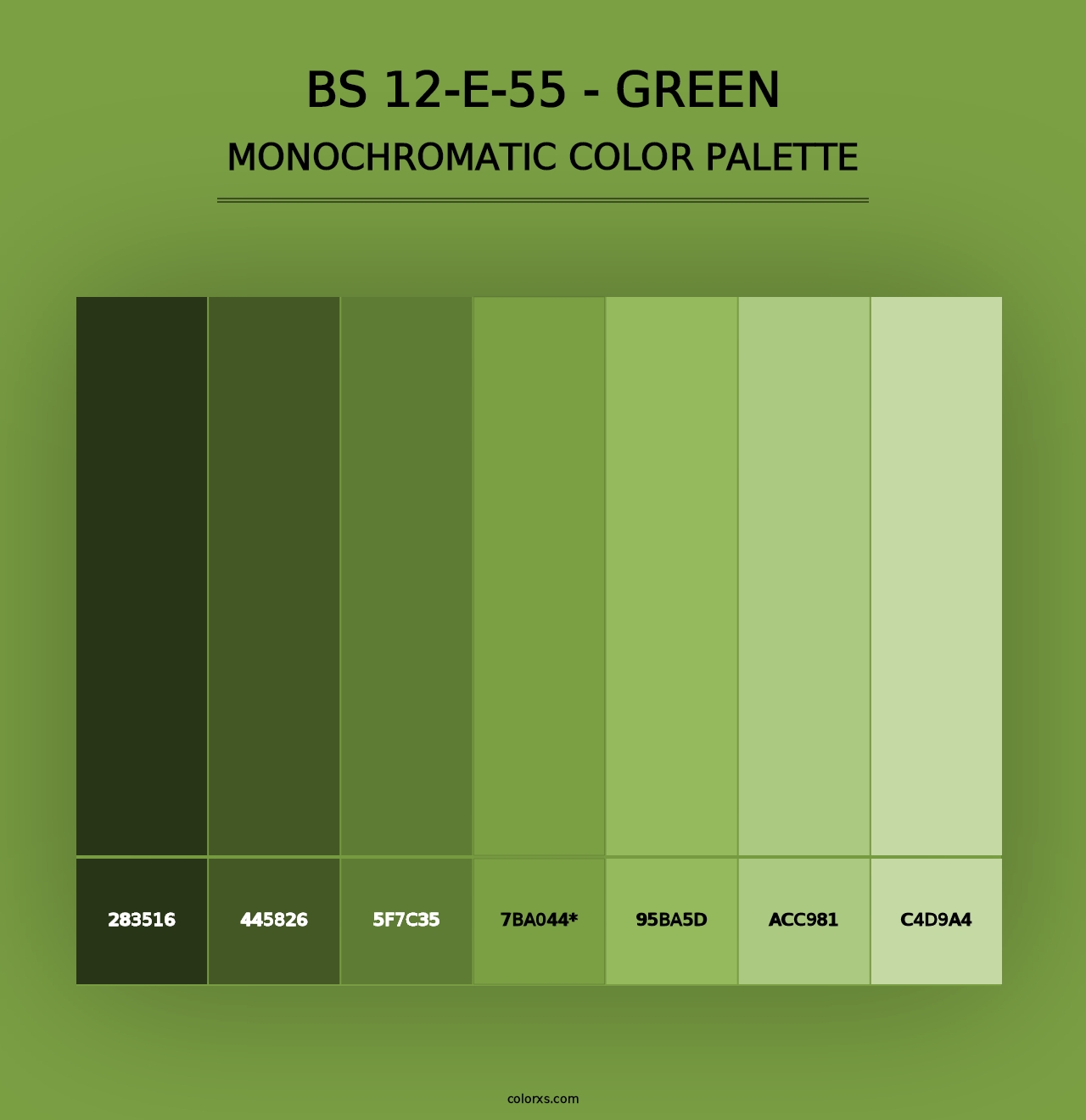 BS 12-E-55 - Green - Monochromatic Color Palette