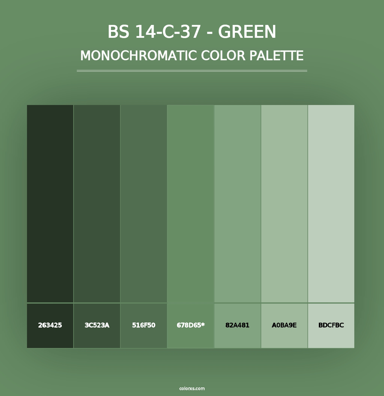 BS 14-C-37 - Green - Monochromatic Color Palette