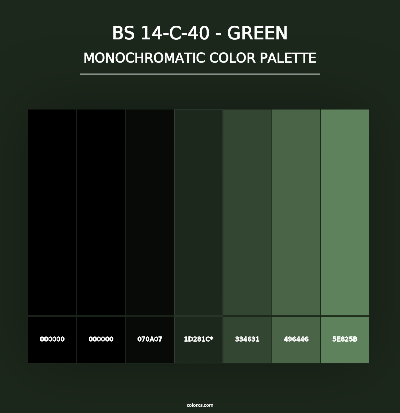 BS 14-C-40 - Green - Monochromatic Color Palette