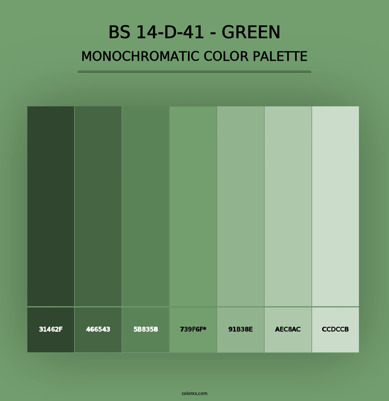 BS 14-D-41 - Green - Monochromatic Color Palette