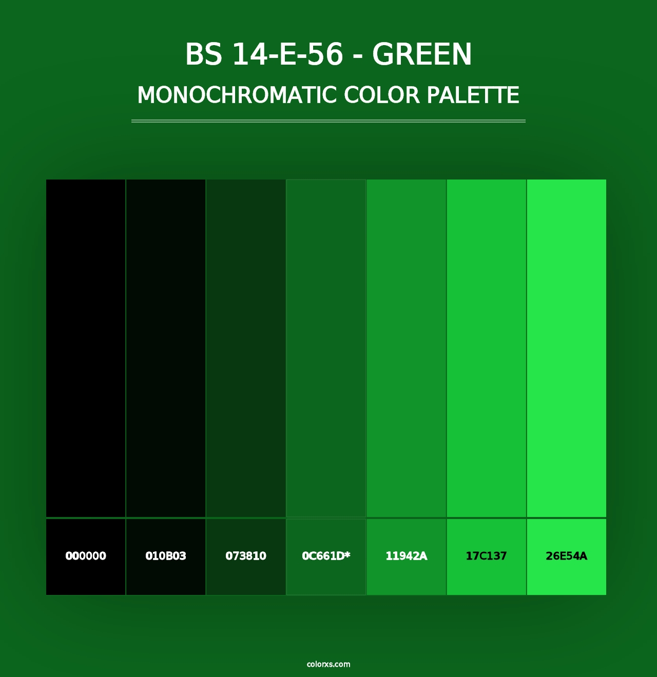 BS 14-E-56 - Green - Monochromatic Color Palette