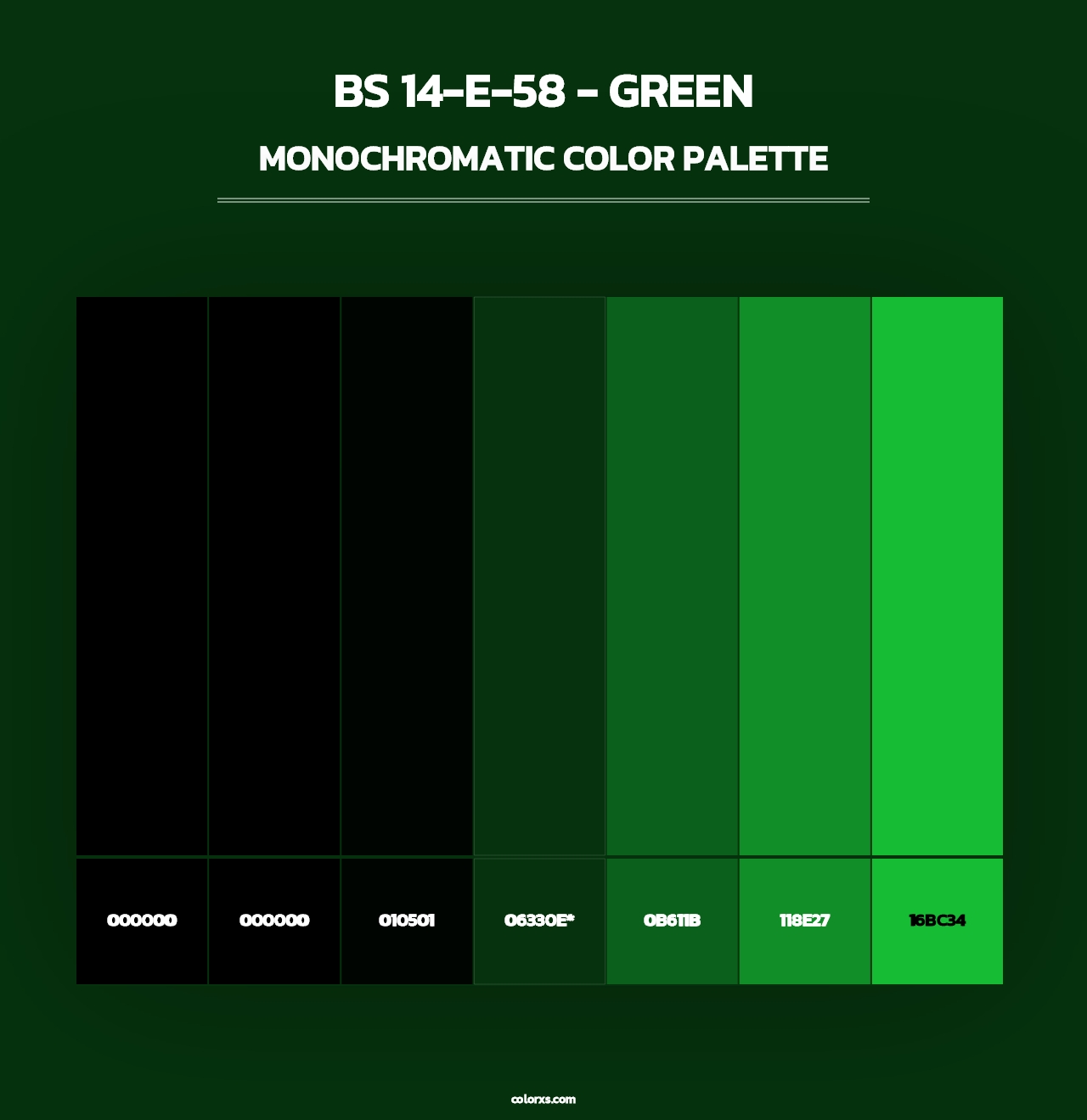 BS 14-E-58 - Green - Monochromatic Color Palette