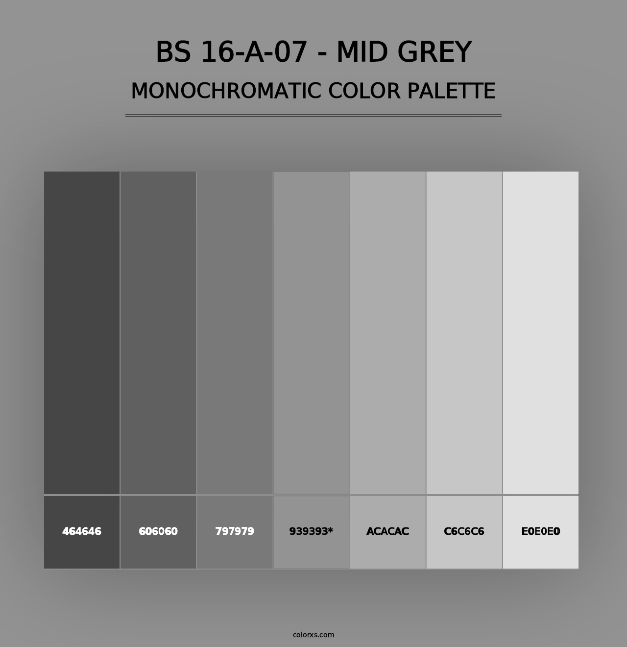 BS 16-A-07 - Mid Grey - Monochromatic Color Palette