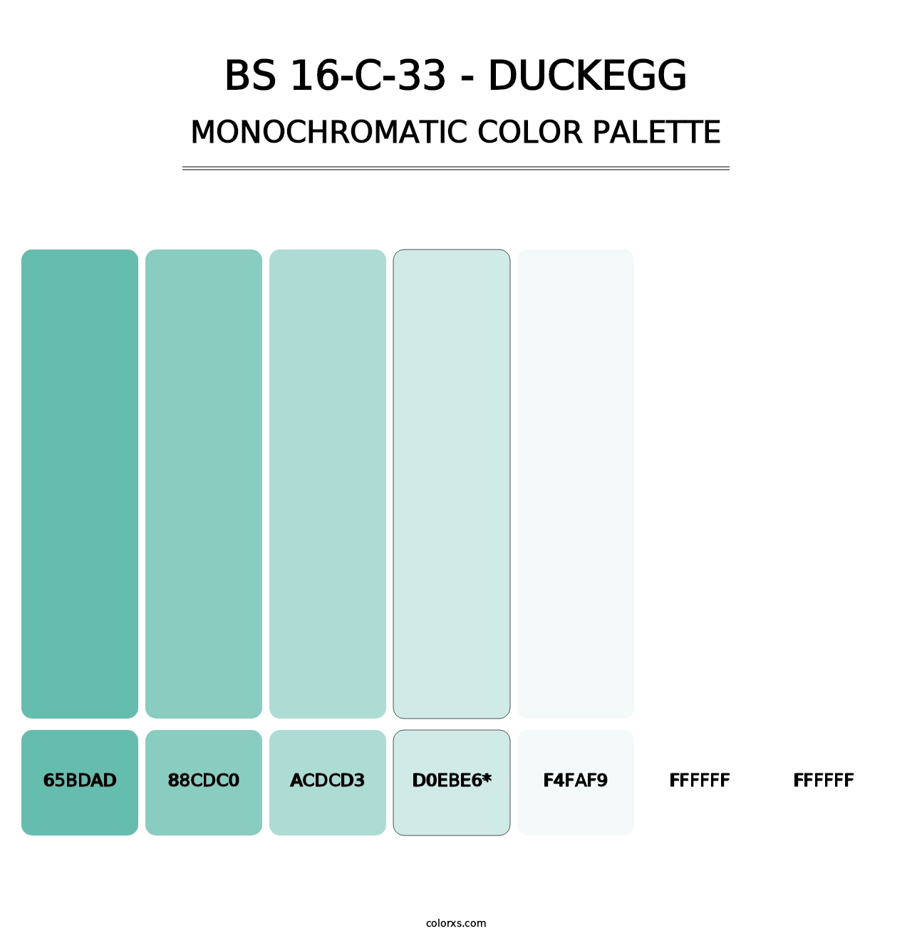 BS 16-C-33 - Duckegg - Monochromatic Color Palette