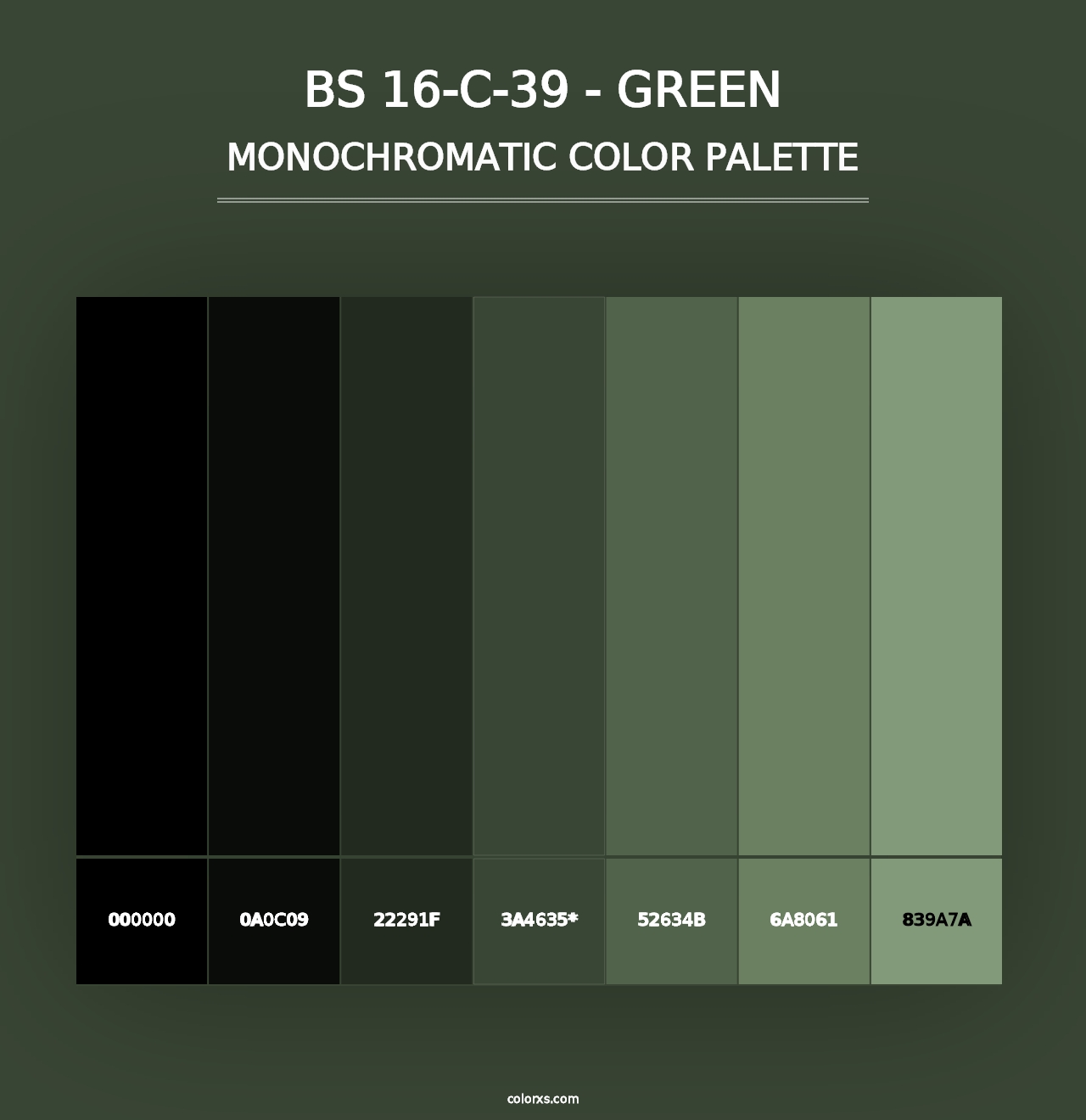 BS 16-C-39 - Green - Monochromatic Color Palette