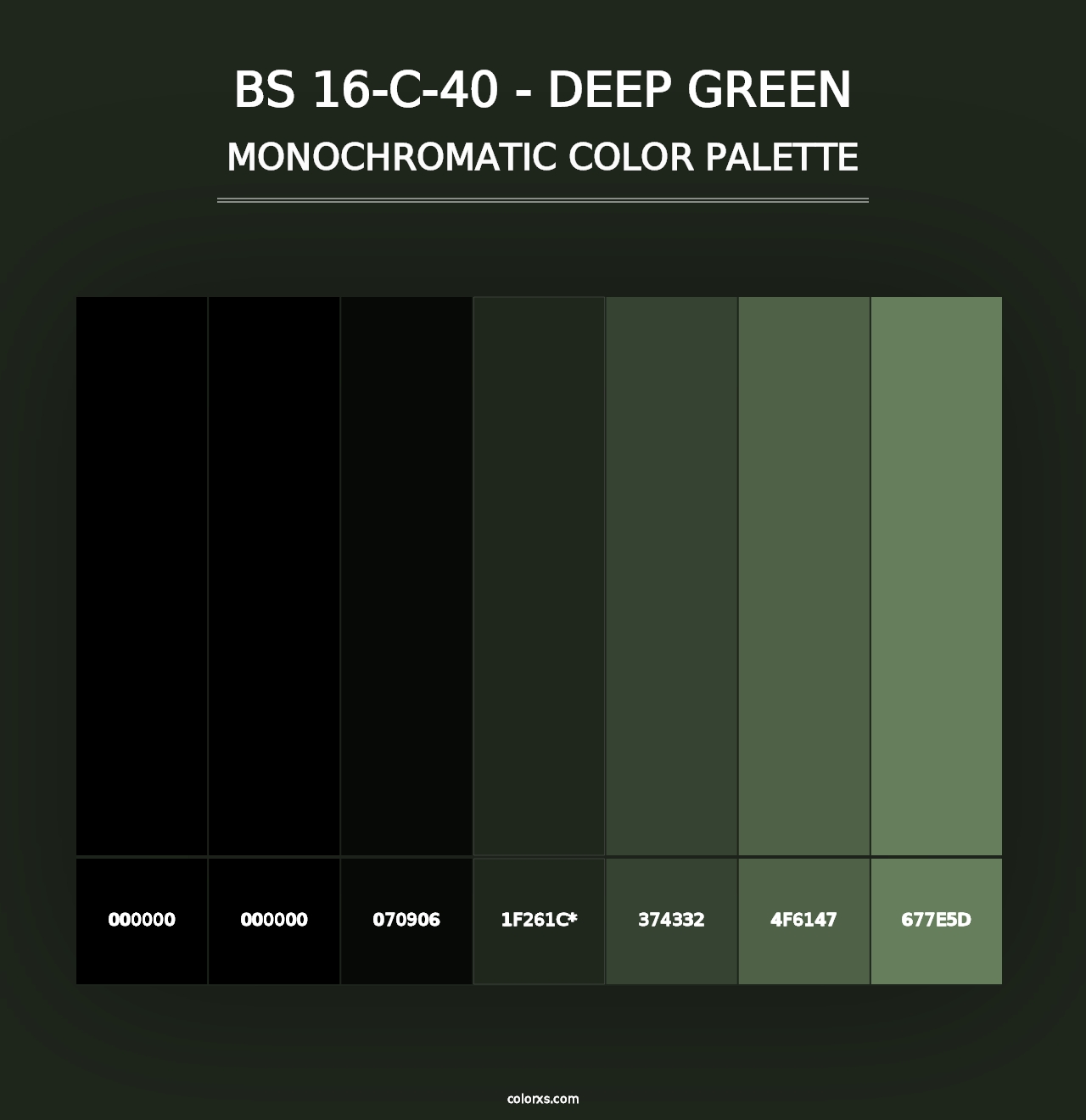 BS 16-C-40 - Deep Green - Monochromatic Color Palette