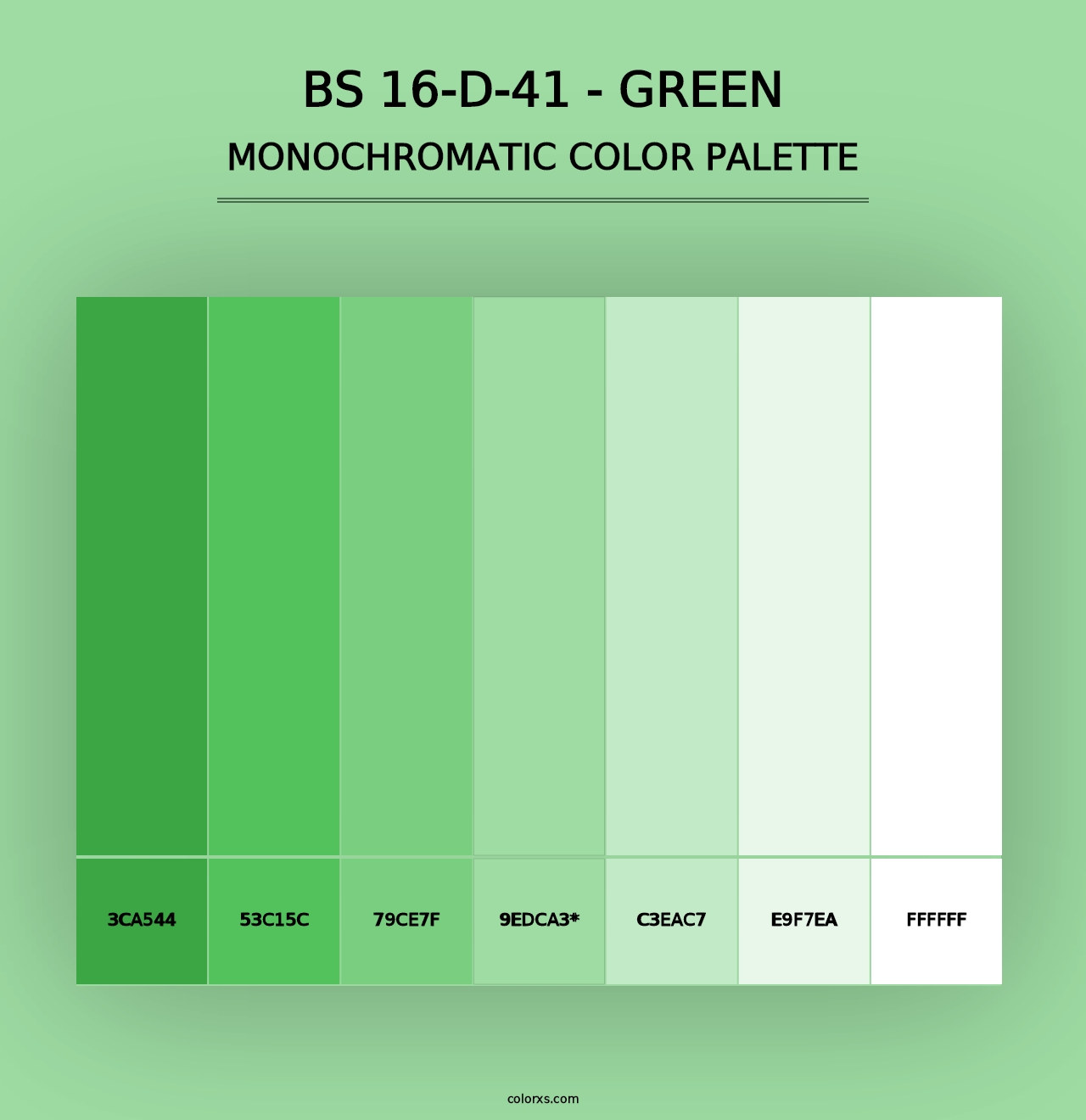 BS 16-D-41 - Green - Monochromatic Color Palette