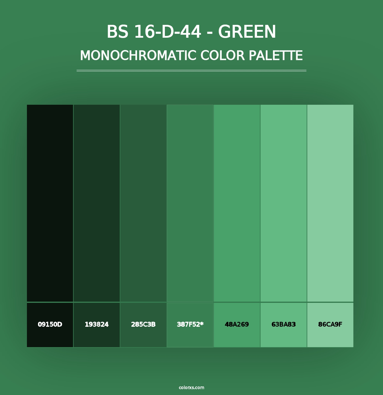 BS 16-D-44 - Green - Monochromatic Color Palette