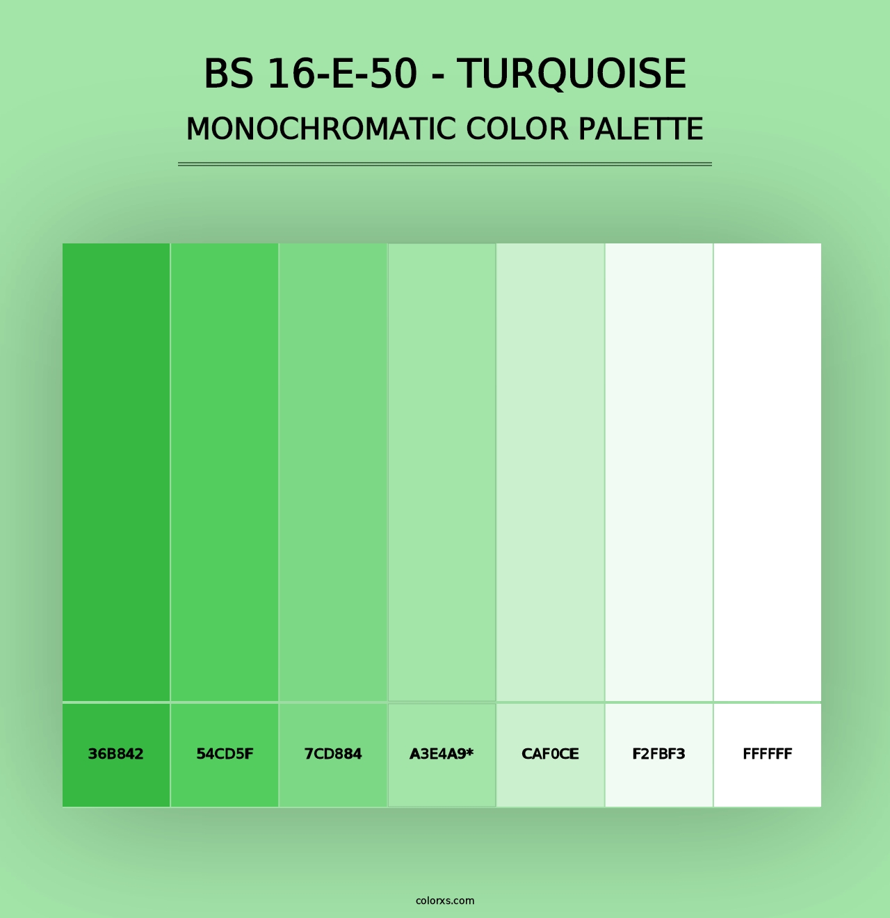 BS 16-E-50 - Turquoise - Monochromatic Color Palette