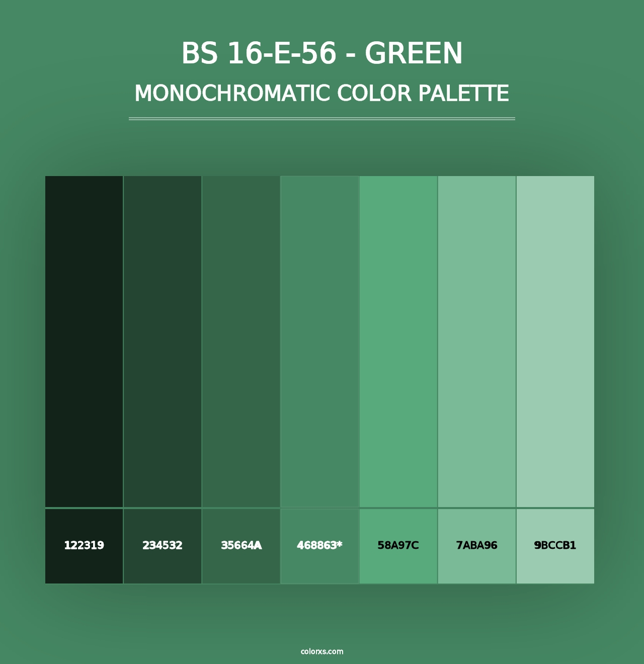 BS 16-E-56 - Green - Monochromatic Color Palette