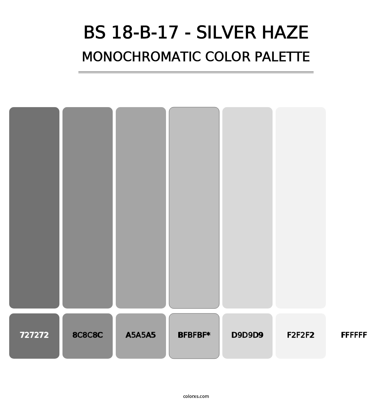 BS 18-B-17 - Silver Haze - Monochromatic Color Palette