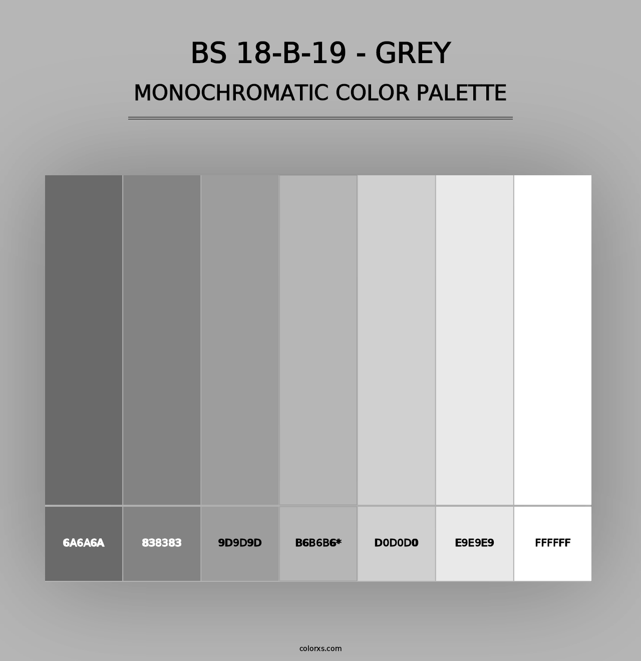 BS 18-B-19 - Grey - Monochromatic Color Palette