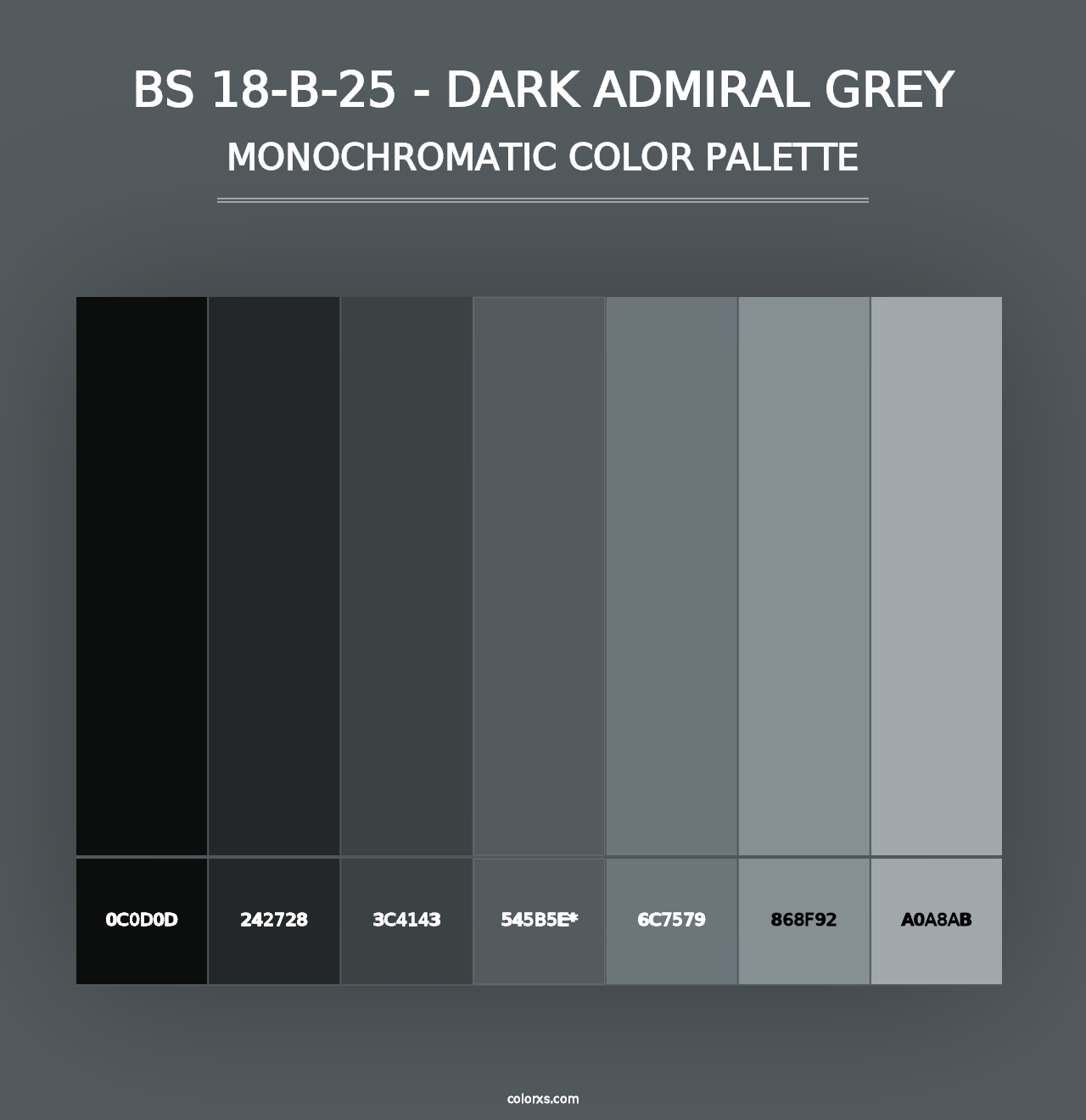 BS 18-B-25 - Dark Admiral Grey - Monochromatic Color Palette