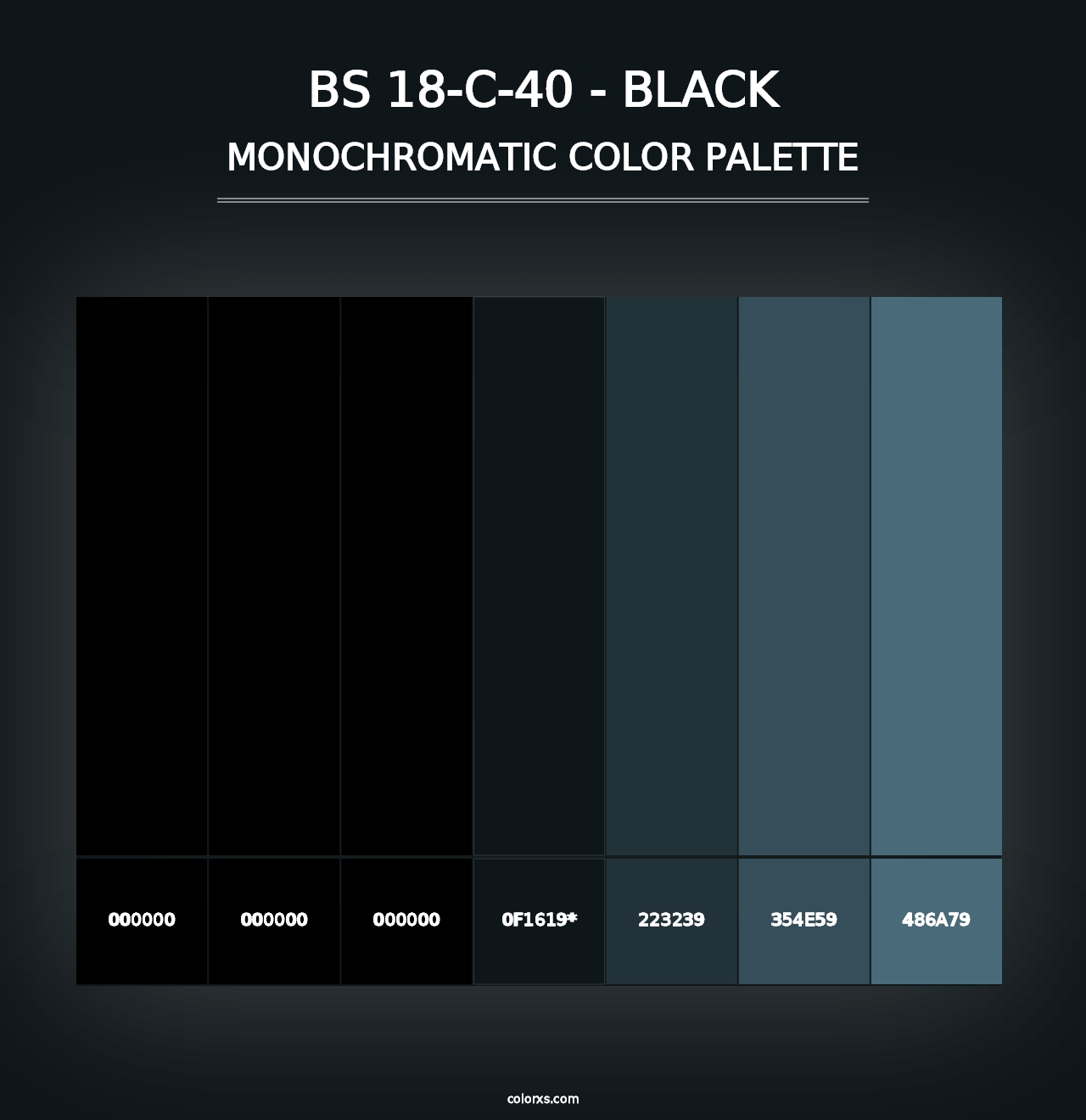 BS 18-C-40 - Black - Monochromatic Color Palette