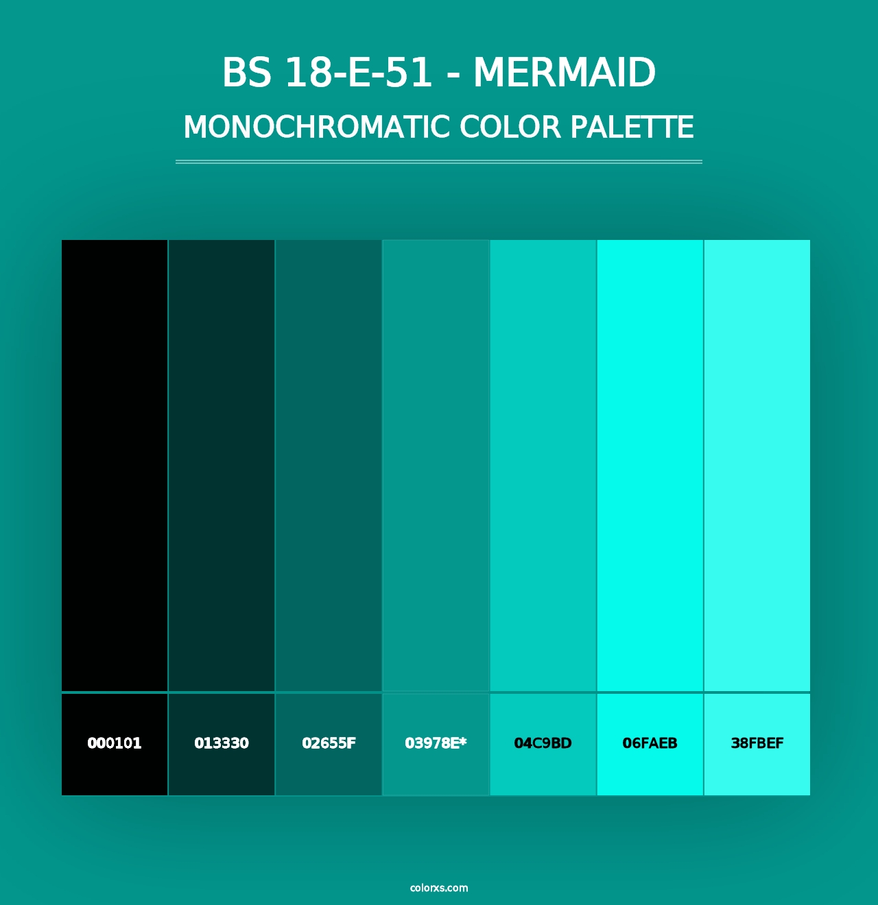 BS 18-E-51 - Mermaid - Monochromatic Color Palette