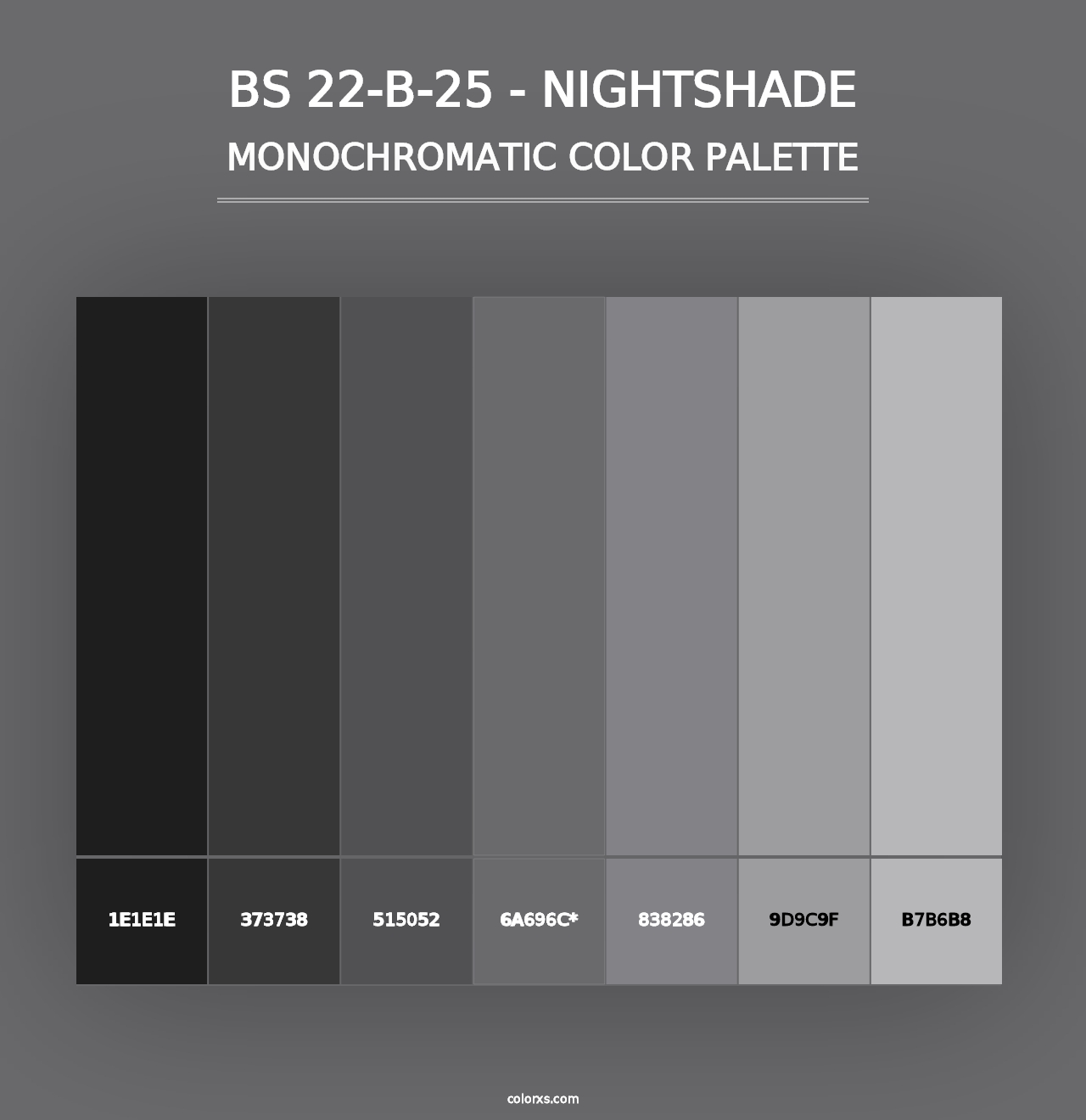 BS 22-B-25 - Nightshade - Monochromatic Color Palette