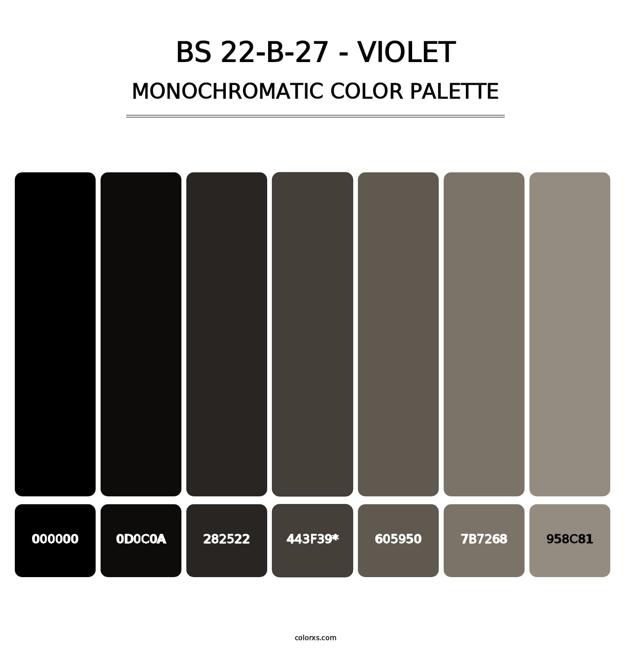 BS 22-B-27 - Violet - Monochromatic Color Palette