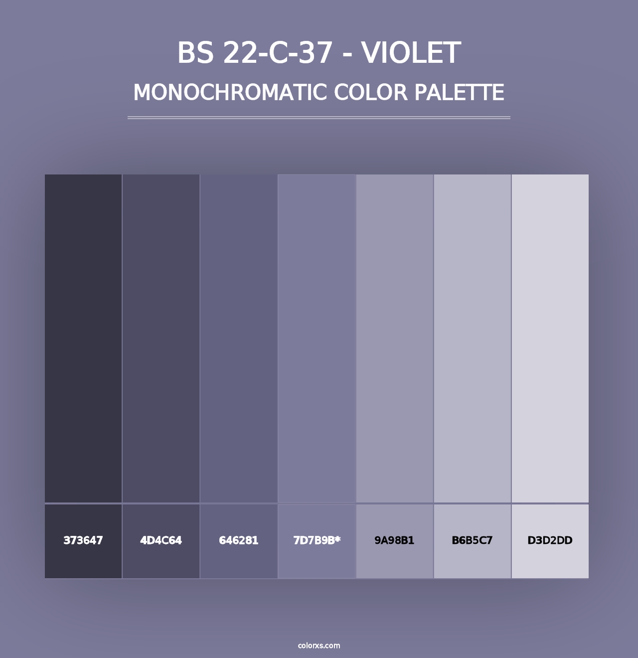 BS 22-C-37 - Violet - Monochromatic Color Palette