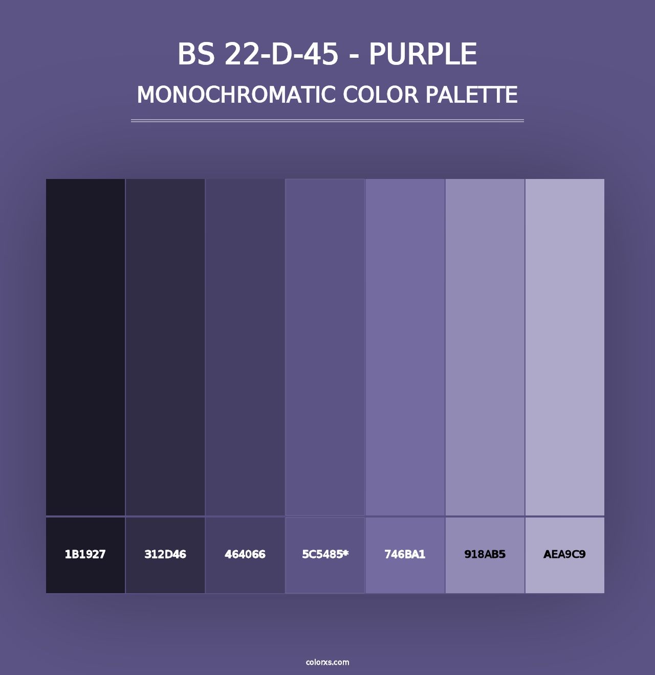 BS 22-D-45 - Purple - Monochromatic Color Palette