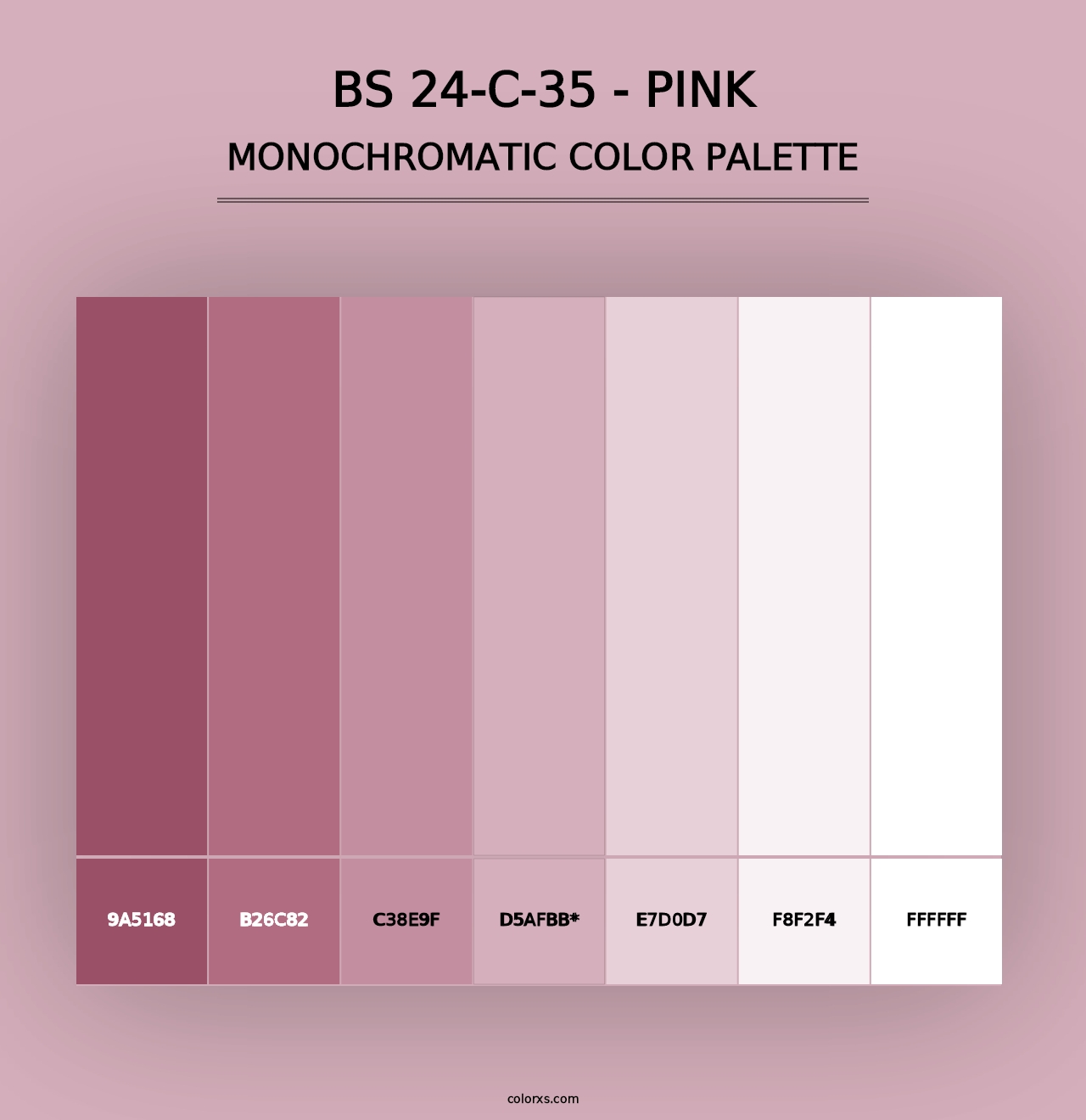 BS 24-C-35 - Pink - Monochromatic Color Palette