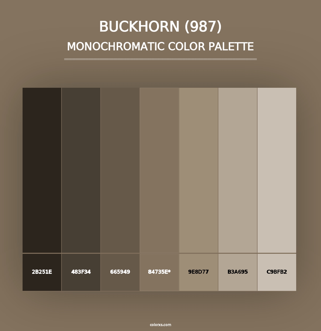 Buckhorn (987) - Monochromatic Color Palette