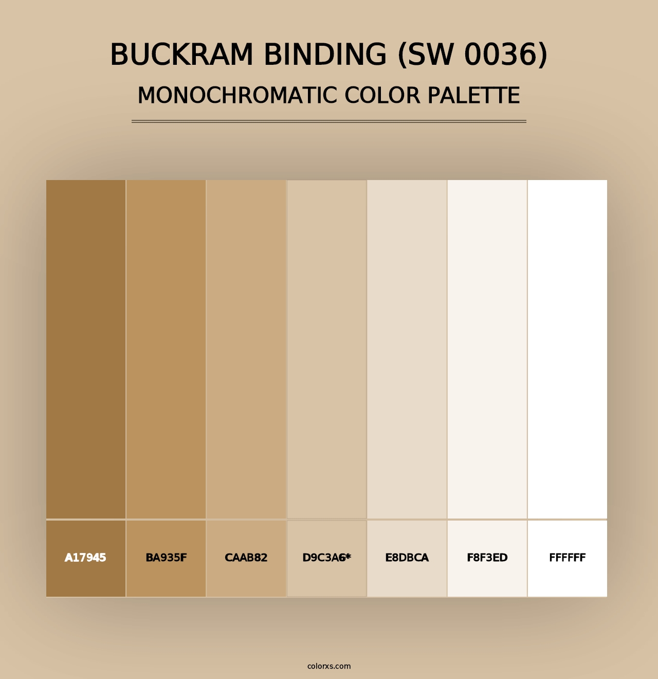 Buckram Binding (SW 0036) - Monochromatic Color Palette