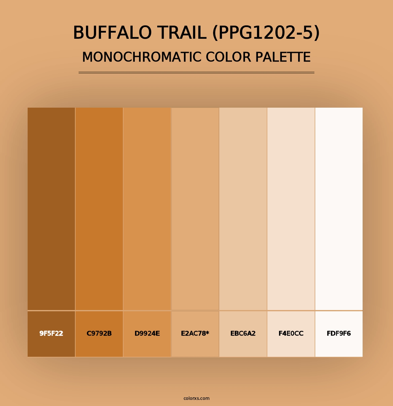 Buffalo Trail (PPG1202-5) - Monochromatic Color Palette