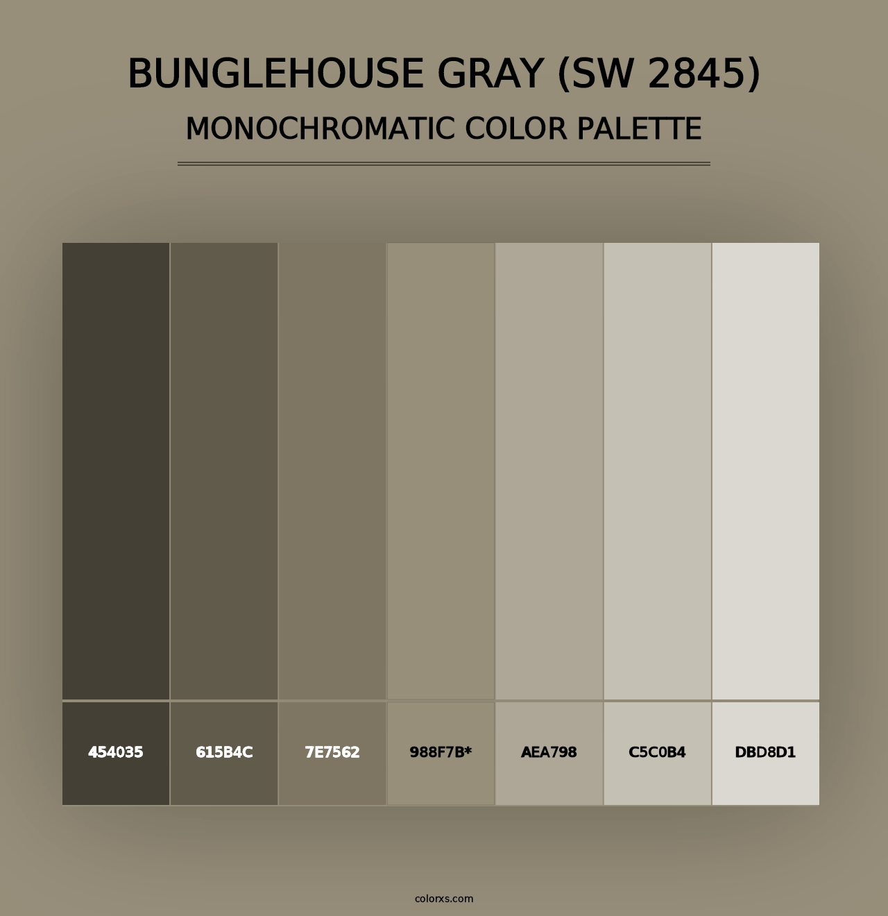 Bunglehouse Gray (SW 2845) - Monochromatic Color Palette