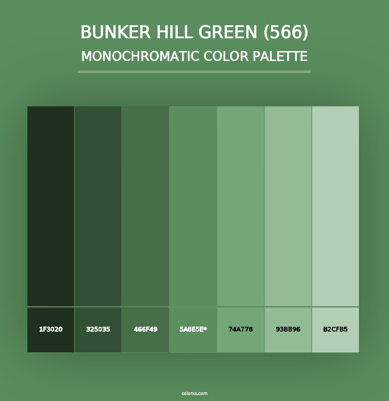 Bunker Hill Green (566) - Monochromatic Color Palette