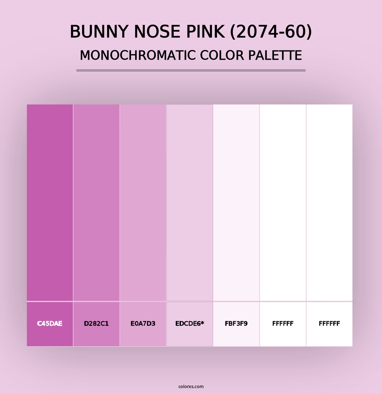 Bunny Nose Pink (2074-60) - Monochromatic Color Palette