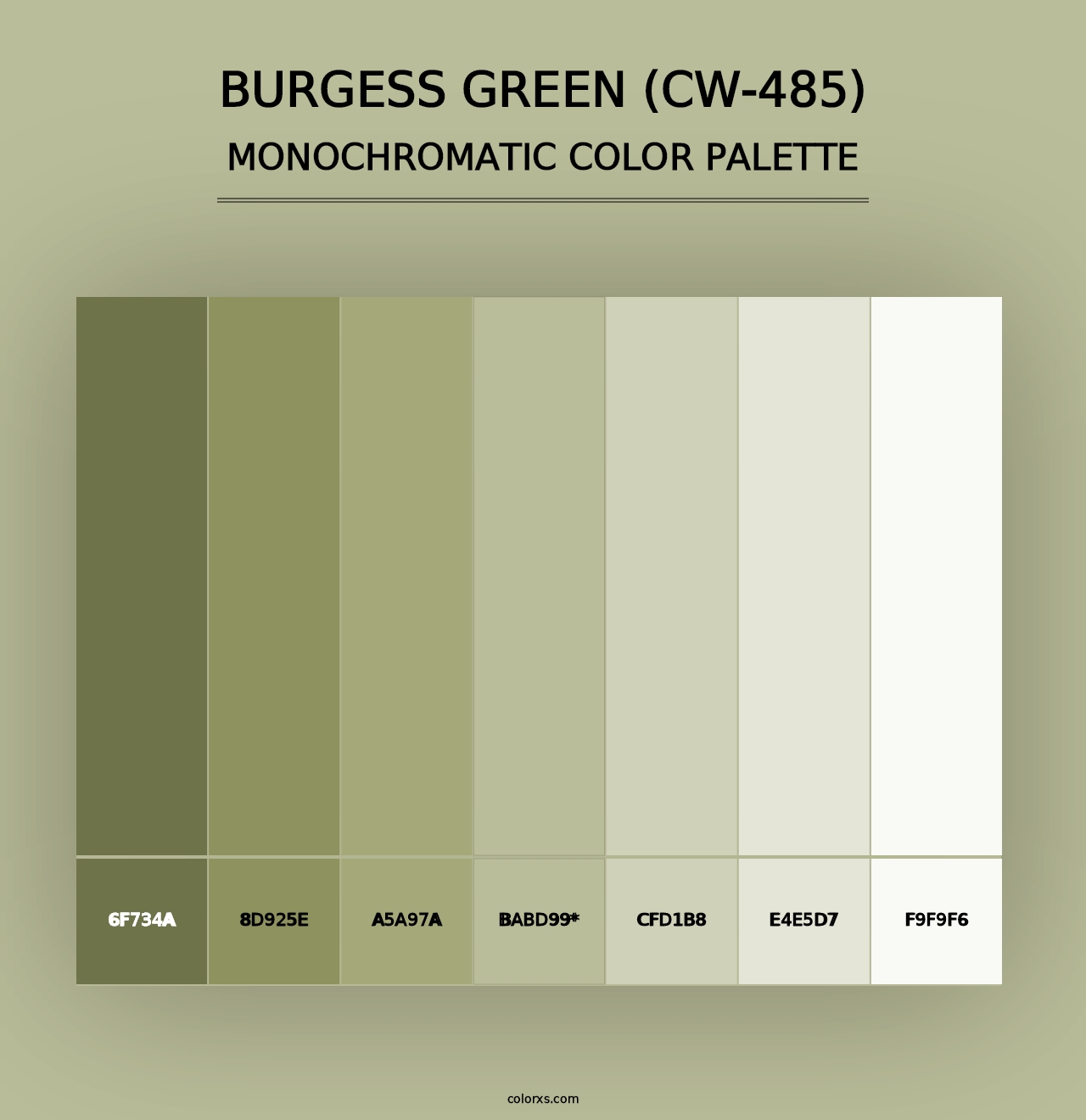 Burgess Green (CW-485) - Monochromatic Color Palette