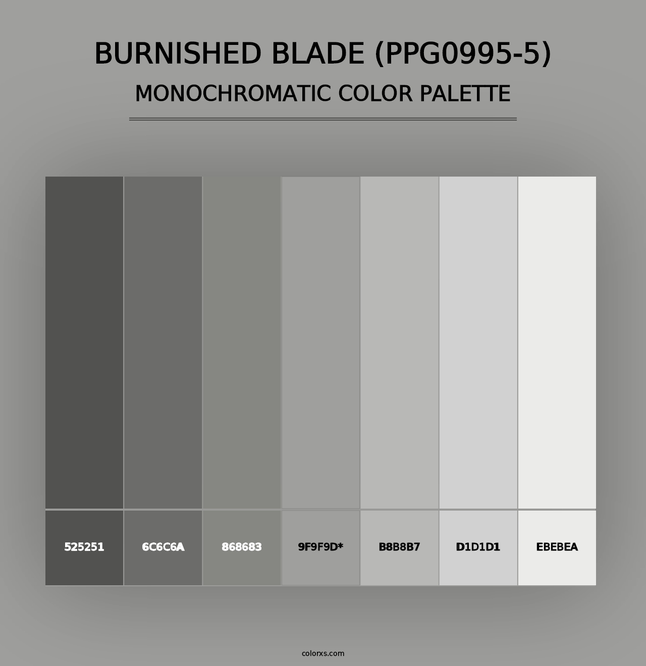 Burnished Blade (PPG0995-5) - Monochromatic Color Palette