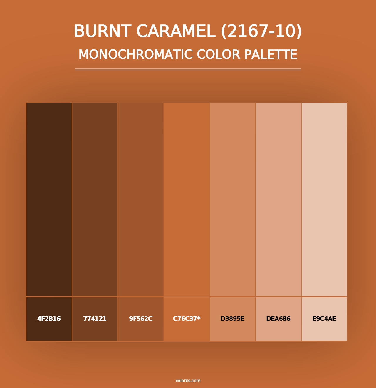 Burnt Caramel (2167-10) - Monochromatic Color Palette